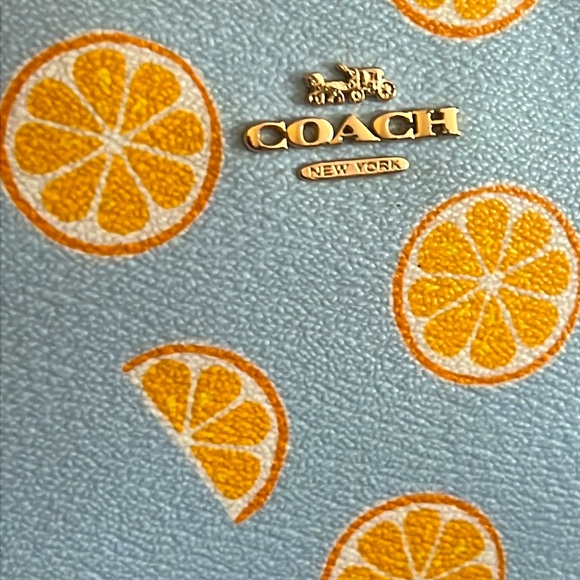 Limited Edition Coach Mini Camera Bag Crossbody With Orange Print - Picture 11 of 15